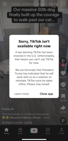 A Tik-ing Time Bomb: SHC Faculty on the TikTok Ban